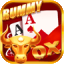rummy d